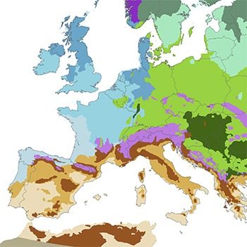 Carte de l'Europe montrant les différents types de climats